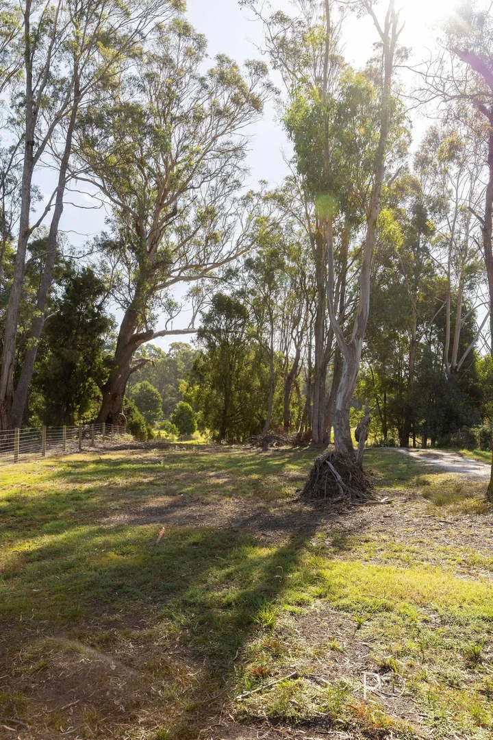 Additional image 15 of 20 Manouka Drive, Port Sorell TAS 7307