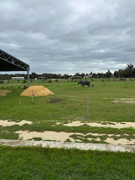 Additional image 29 of 4 Hainge Road, Hamel WA 6215