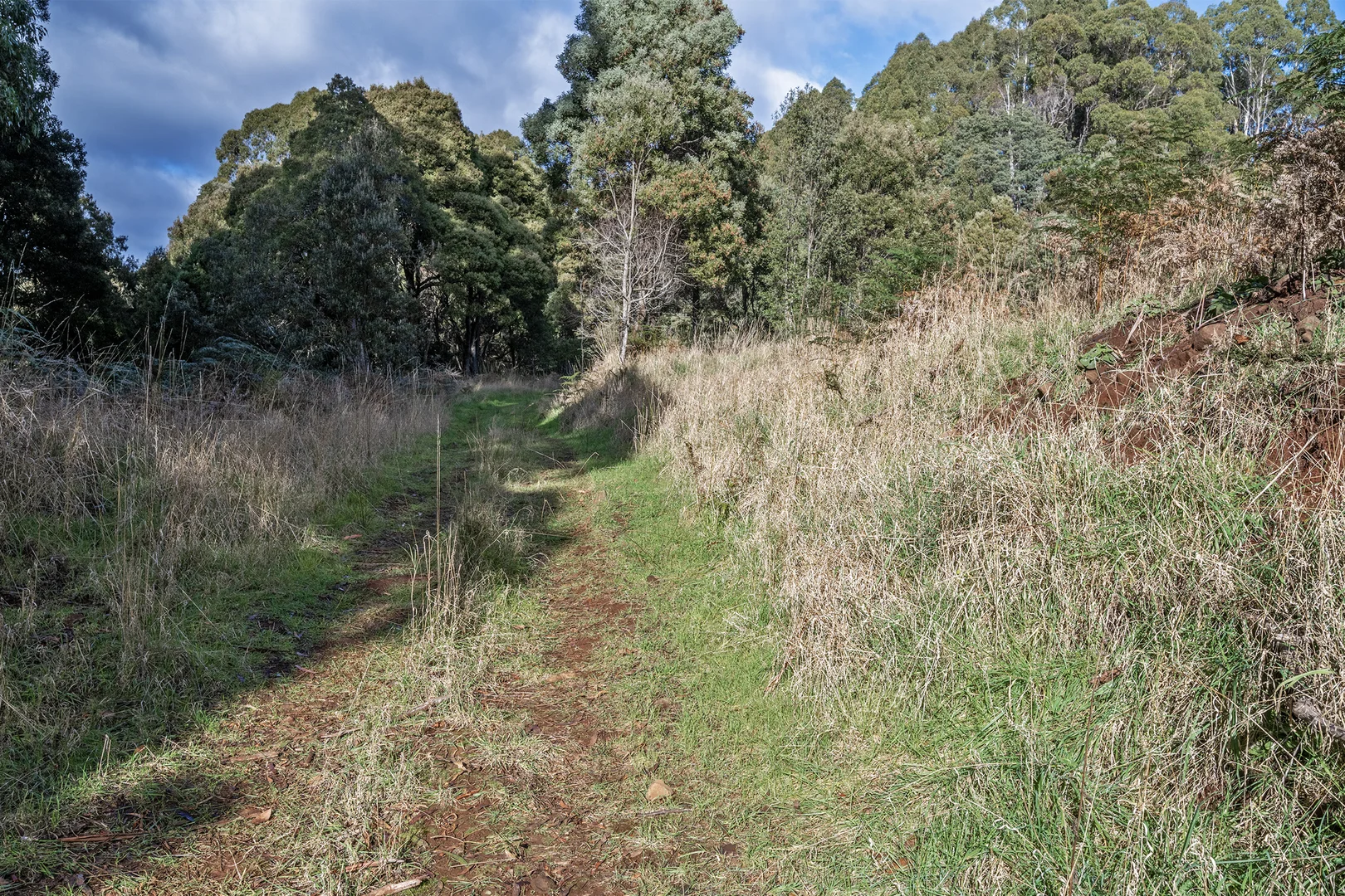 Additional image 4 of Wilmot TAS 7310