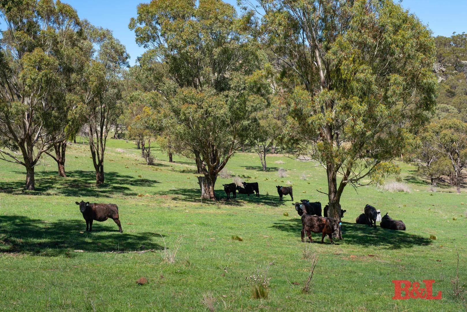 Additional image 34 of 1977 Tarana Road, Gemalla NSW 2795