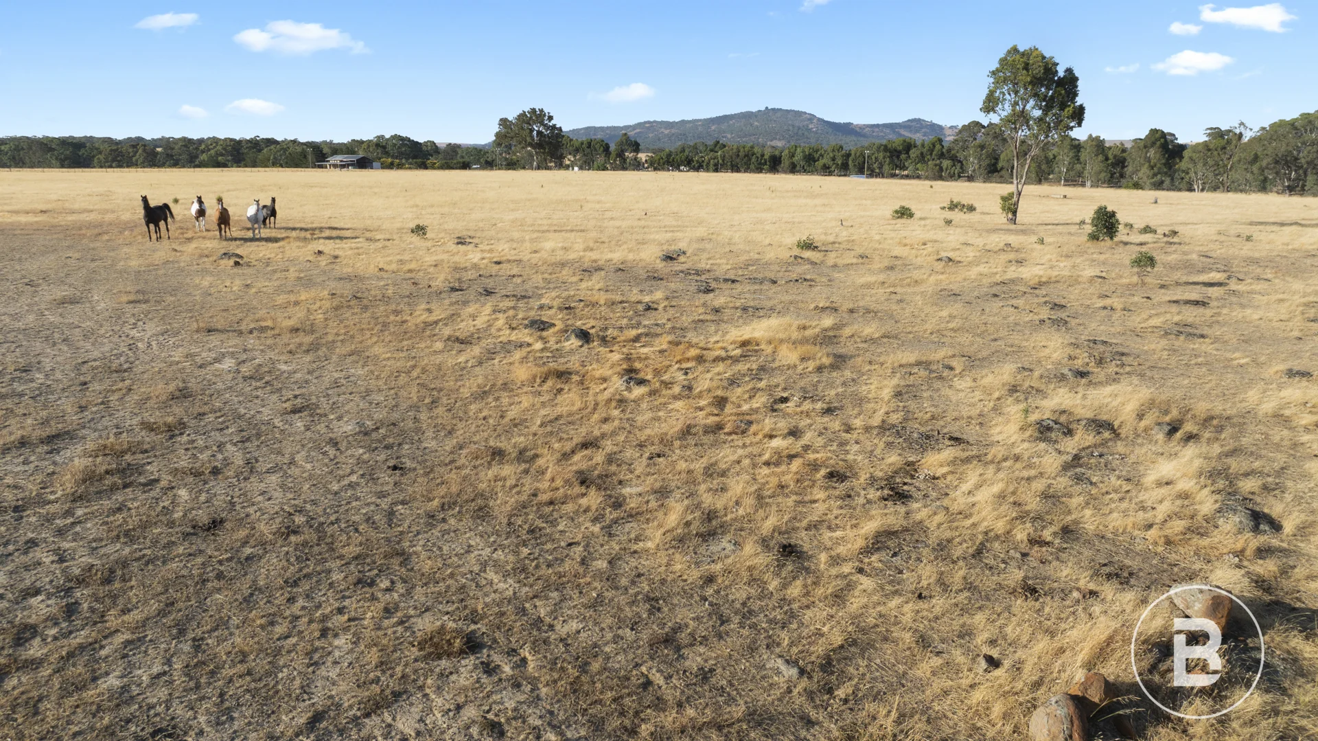 Additional image 9 of 1/3900 Ballarat- Maryborough Road, Clunes VIC 3370