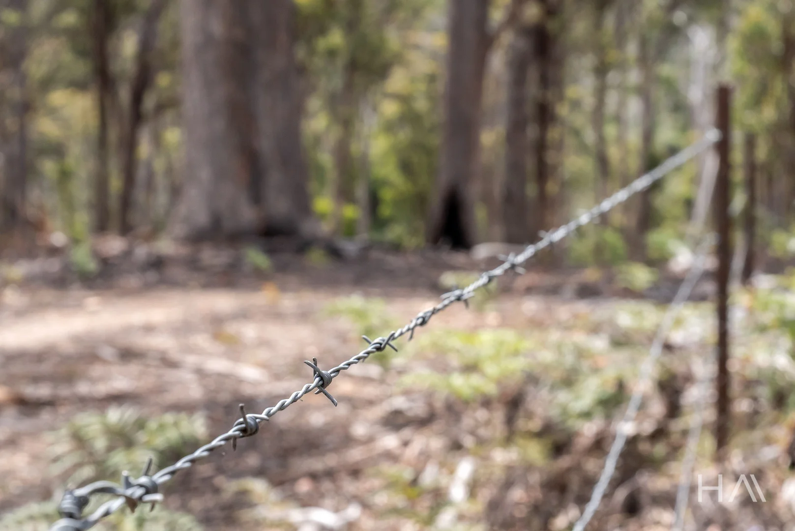 Additional image 14 of English Town Road, Deddington TAS 7212