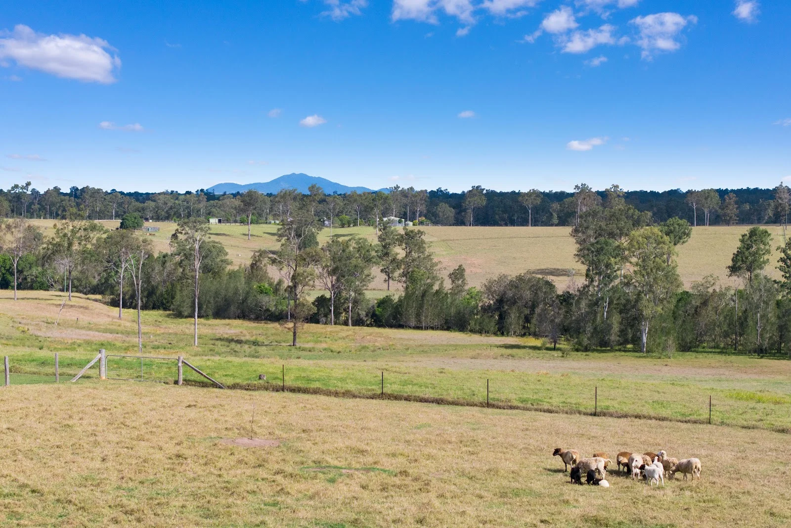 Additional image 12 of 539 Old Gayndah Road, Dunmora QLD 4650
