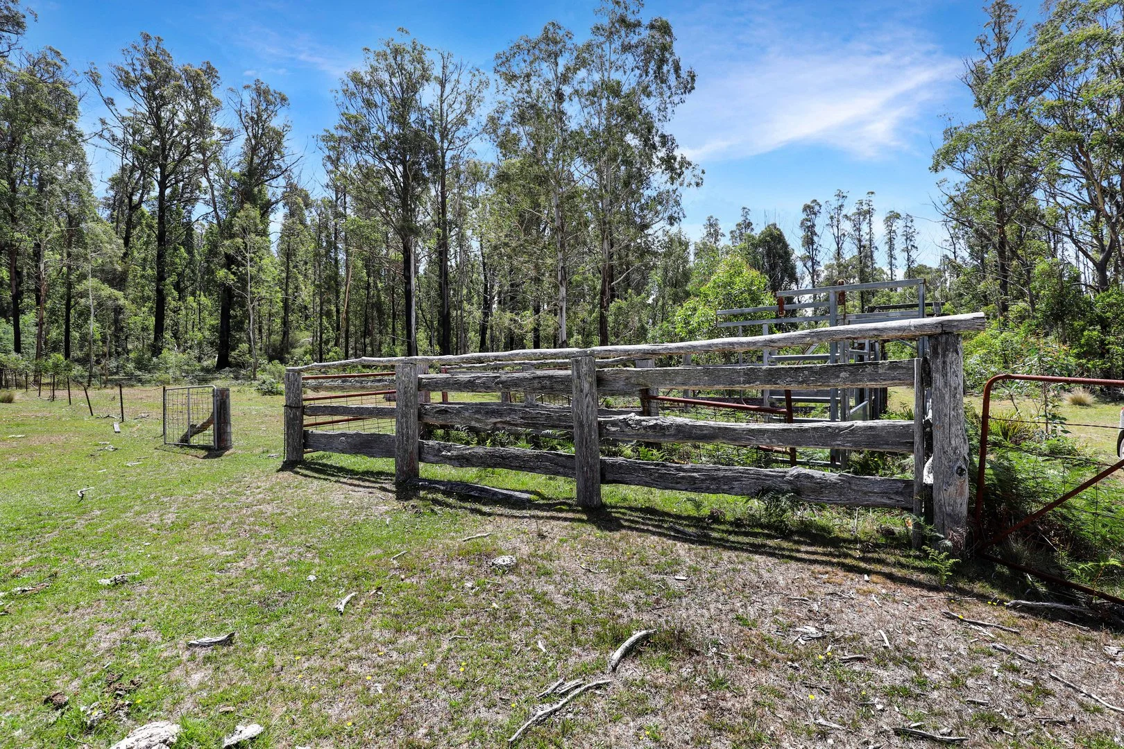 Additional image 9 of Lot 51 Tantawangalo Mountain Road, Cathcart NSW 2632