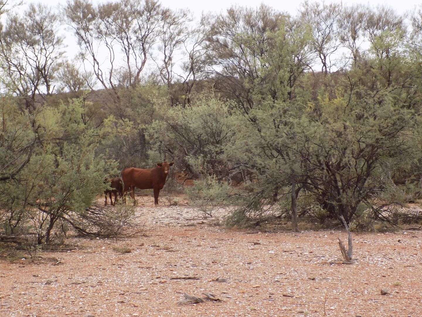 Additional image 16 of West Lyons River WA 6705