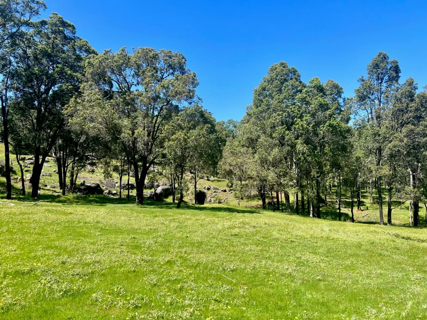 Additional image 17 of 59 Lyons Road, Waroona WA 6215