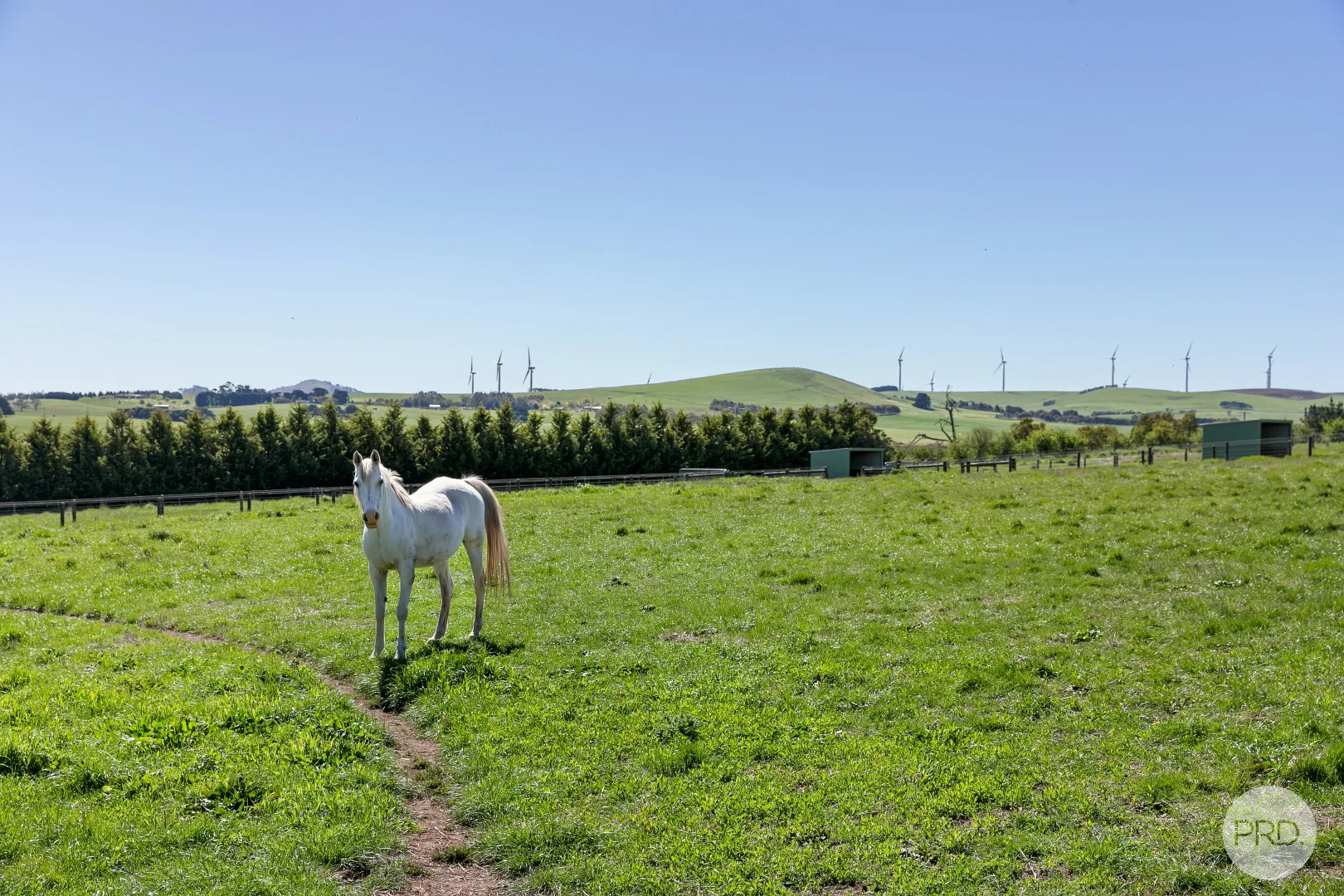 Additional image 19 of 1417 Ercildoun Road, Weatherboard VIC 3352