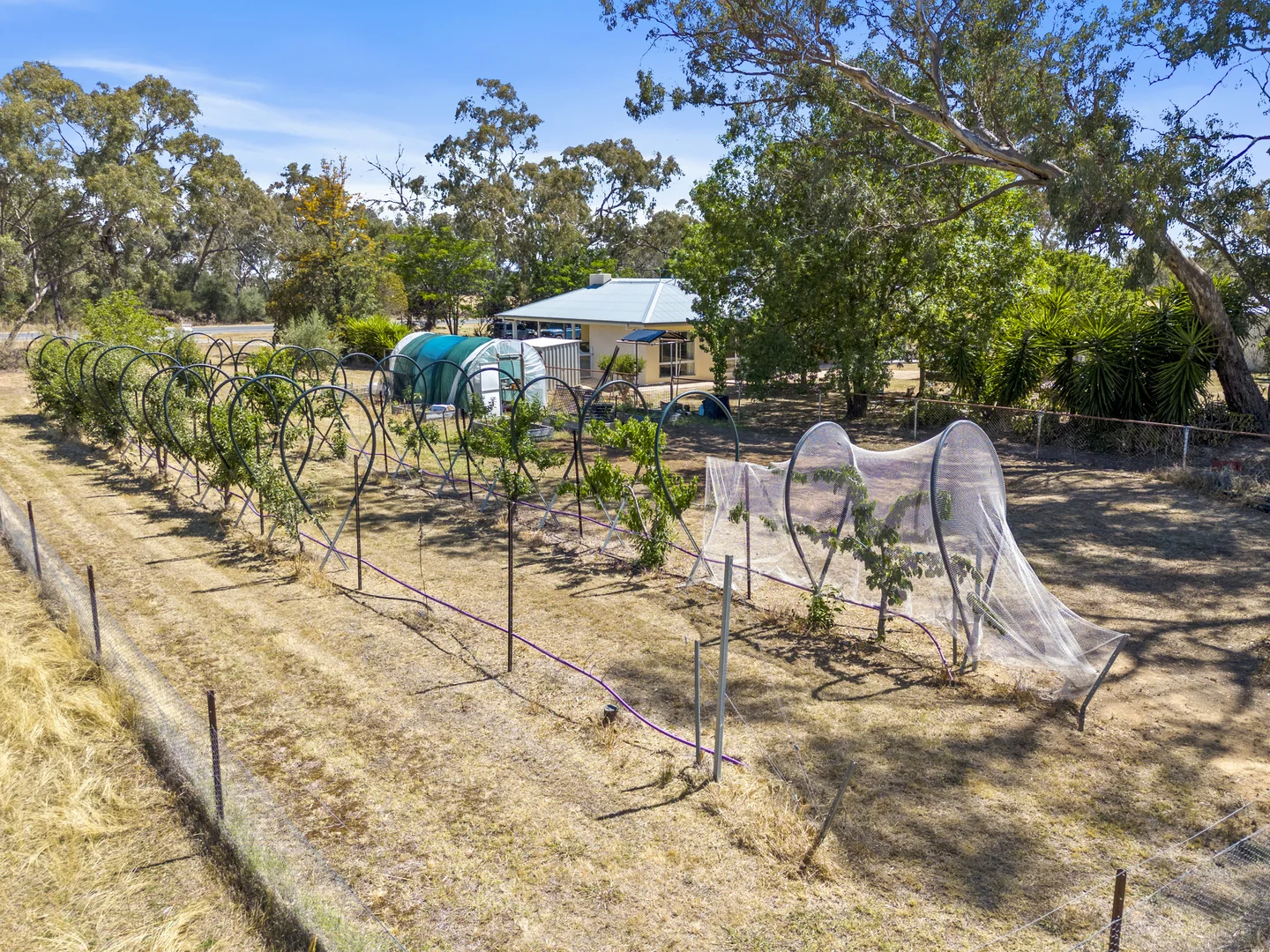 Additional image 42 of 4572 Murray Valley Highway, Rutherglen VIC 3685