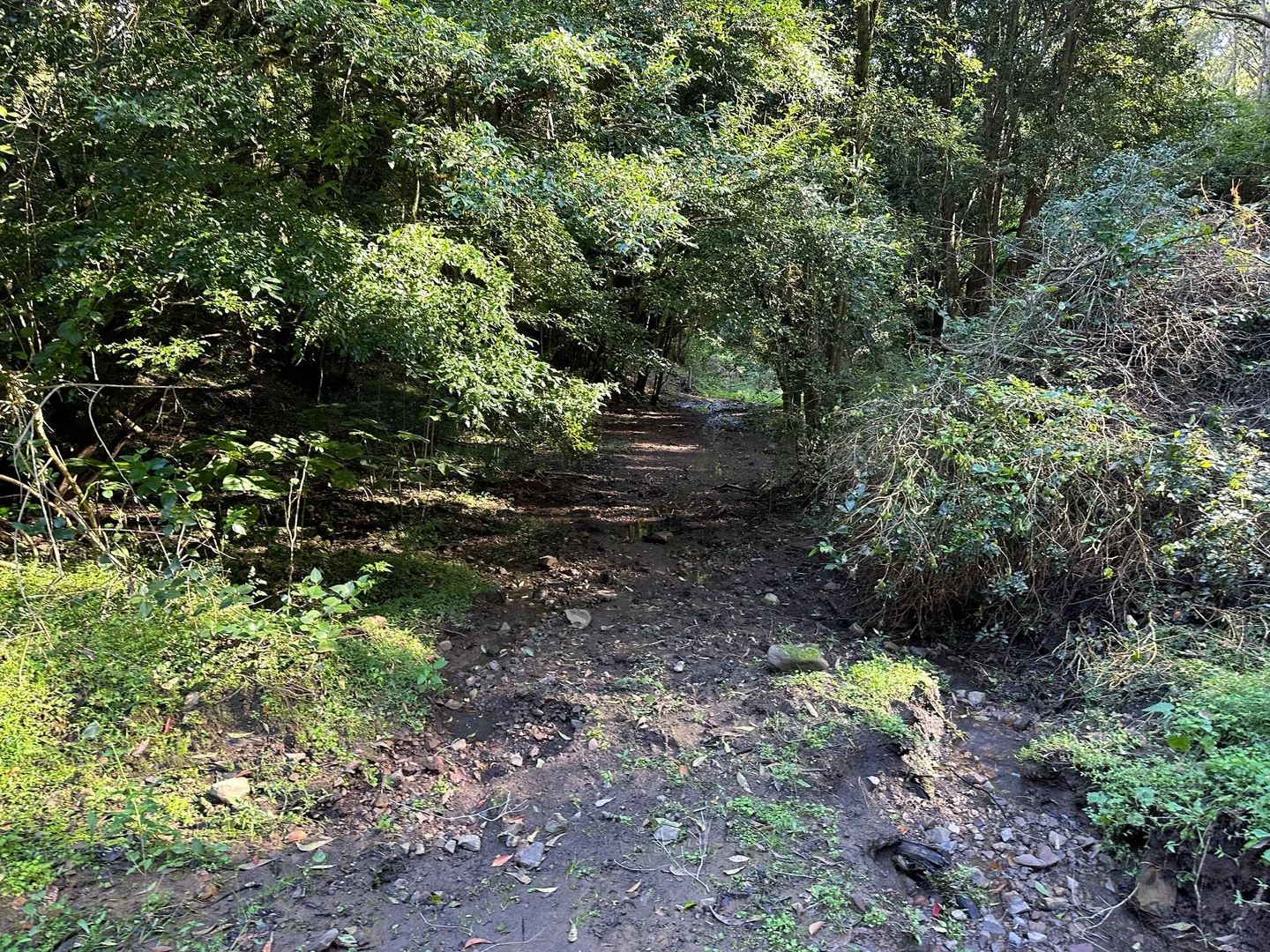 Additional image 23 of 129 Quartpot Creek Road, Dungog NSW 2420