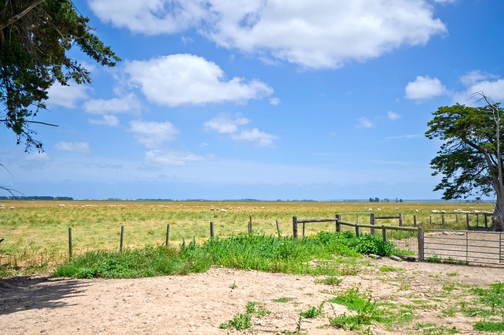 Additional image 14 of Lot 55 Princes Highway, Millicent SA 5280