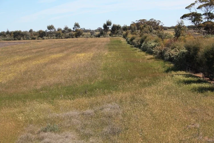 Additional image 6 of Lot 1, 905 Ngallo Road, Carina VIC 3512