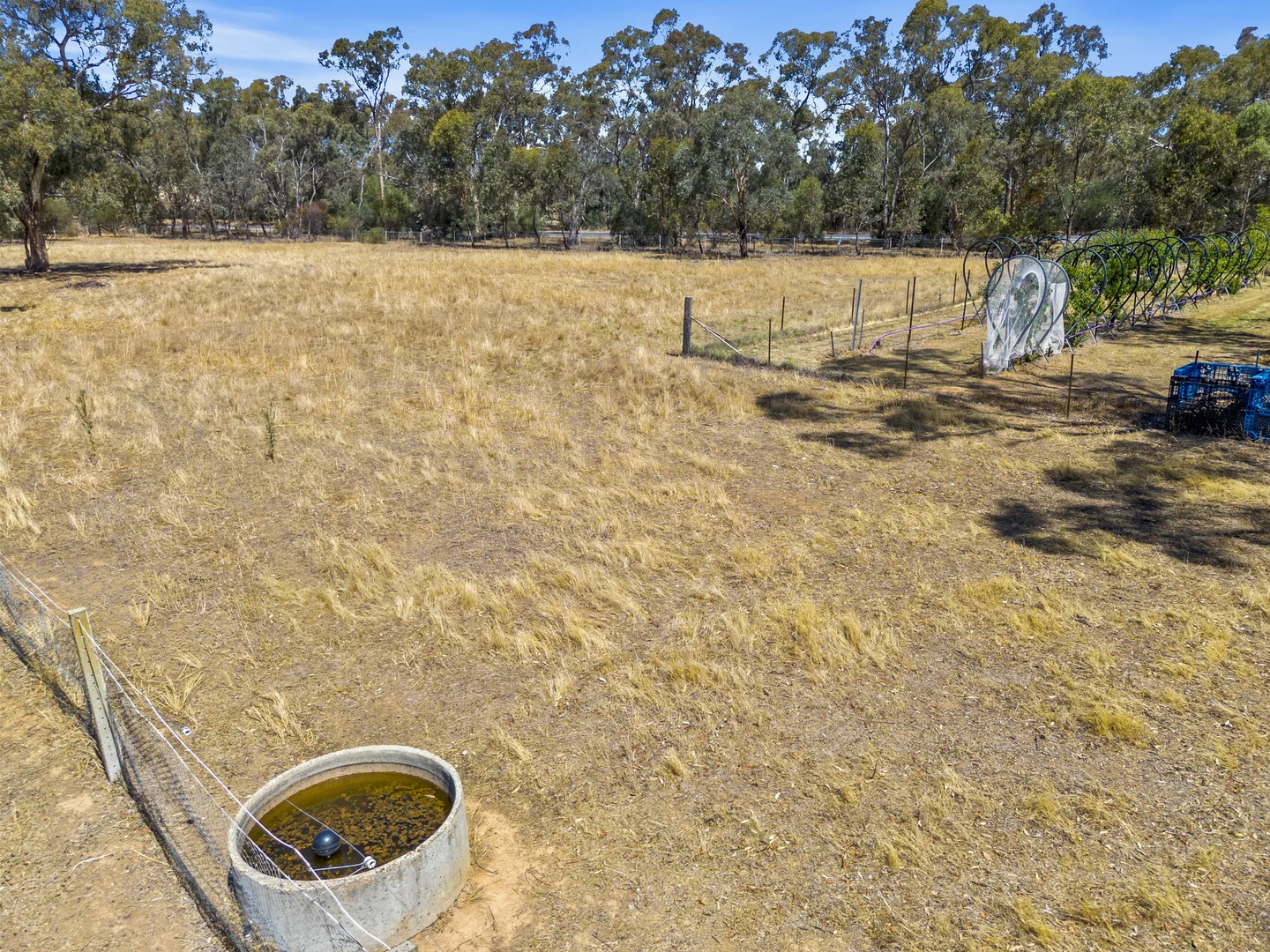 Additional image 34 of 4572 Murray Valley Highway, Rutherglen VIC 3685