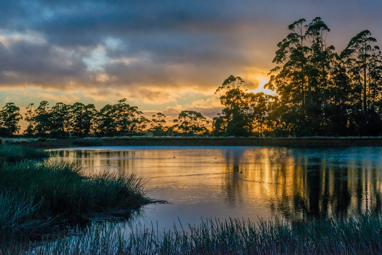 Additional image 5 of 1001 Oldina Road, Oldina TAS 7325