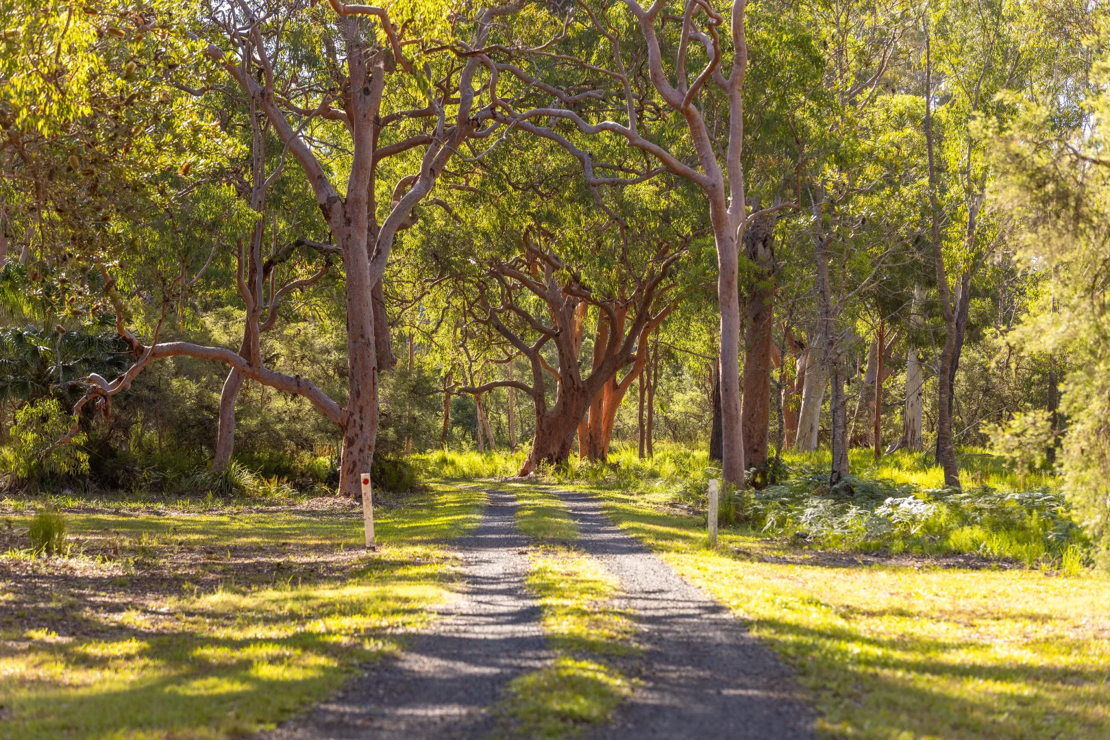 Additional image 19 of 183 Beach Road, Mitchells Island NSW 2430