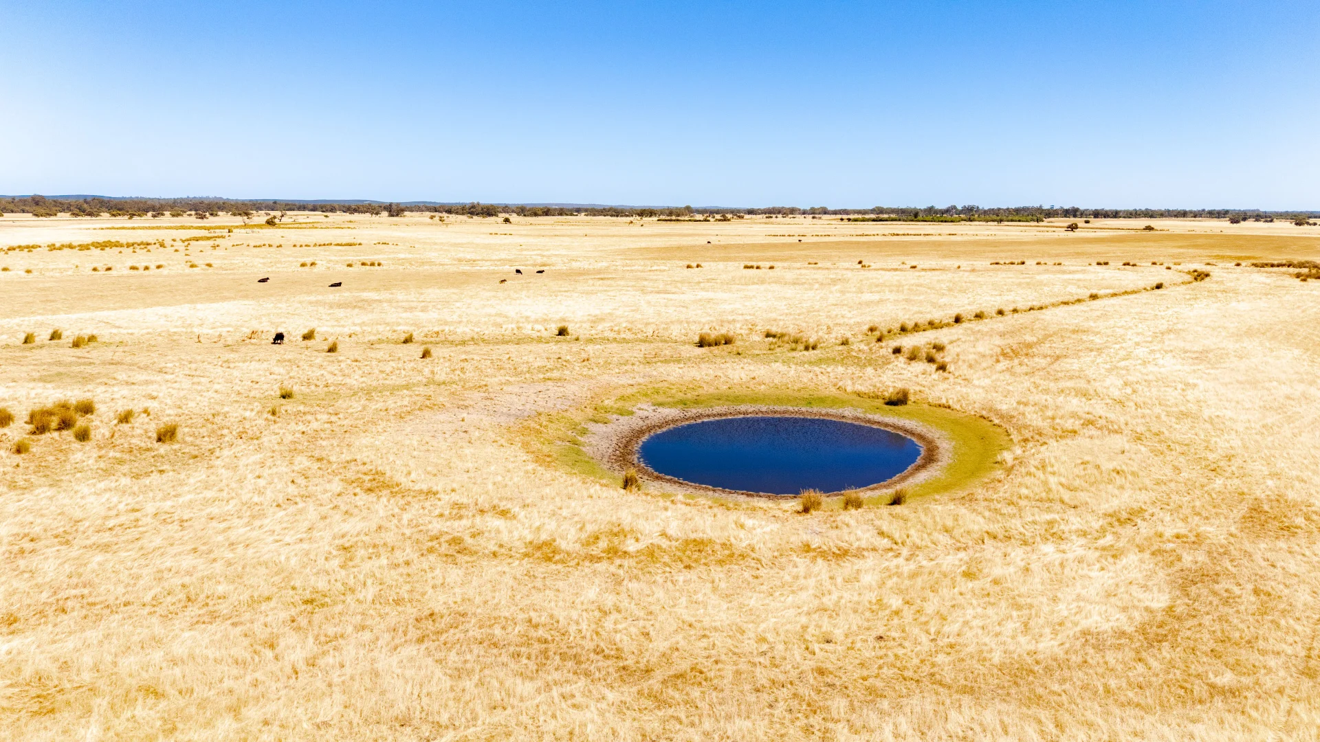 Additional image 14 of 1081 Buller Road, Waroona WA 6215