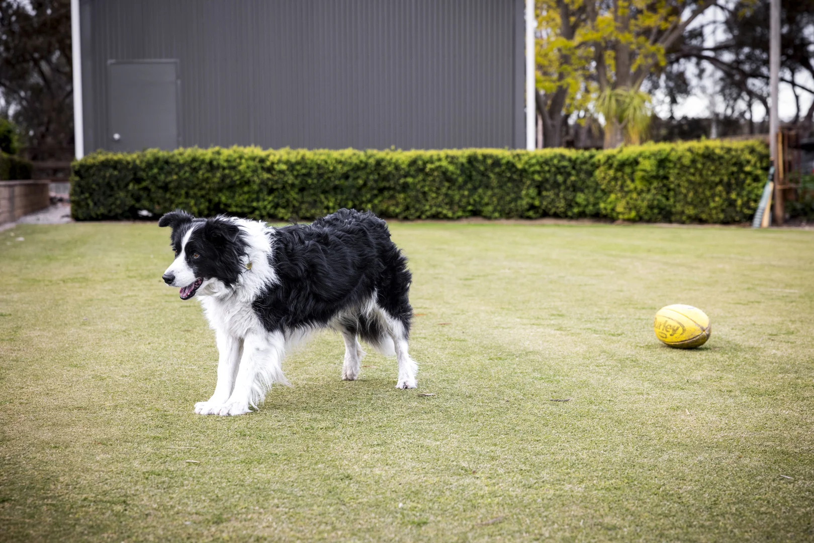 Additional image 30 of 47 Peramangk Road, Nuriootpa SA 5355