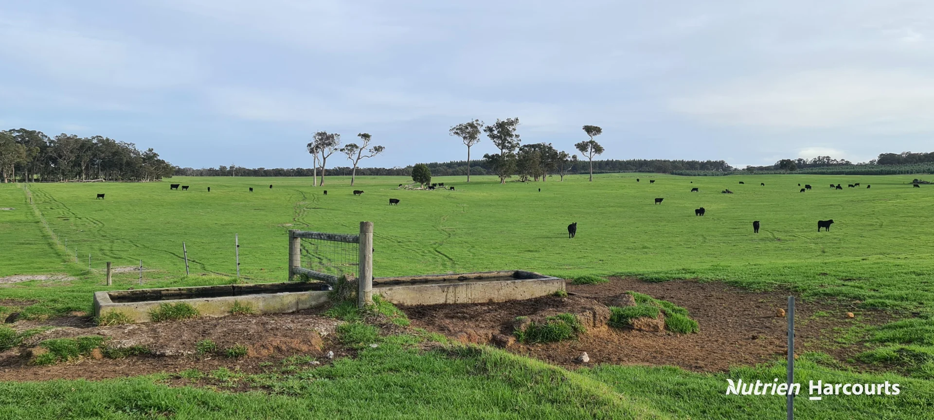 Additional image 27 of 2003 Settlement Road, Napier WA 6330