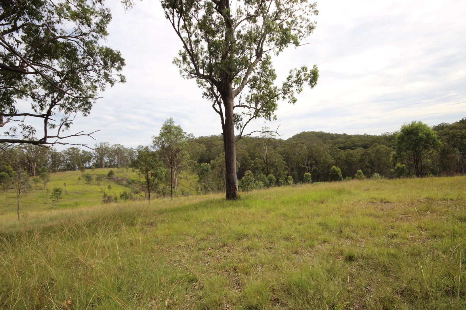 Additional image 2 of 702 Comboyne Road, Byabarra NSW 2446