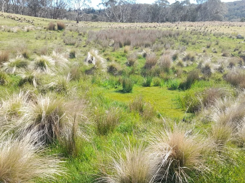 Additional image 20 of 102 Kain Cross Road, Braidwood NSW 2622