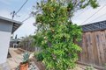 Additional image 36 of 5164 Montreal Dr, San Jose, CA, 95130