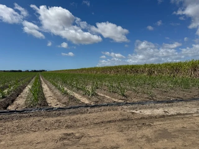 Additional image 7 of 218 Oats Road, Fredericksfield QLD 4806