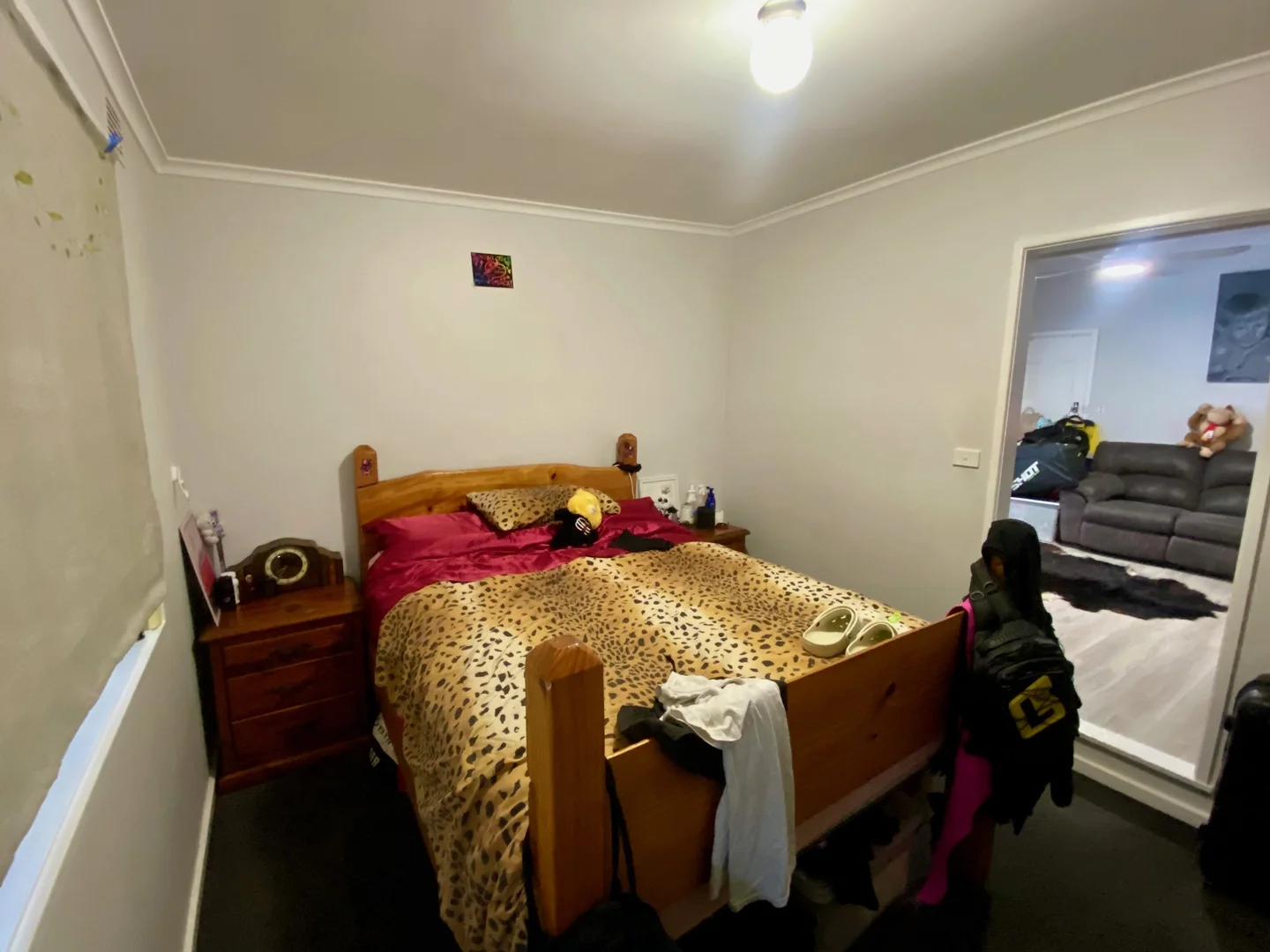 Additional image 13 of 214 Auckland Street, Bega NSW 2550