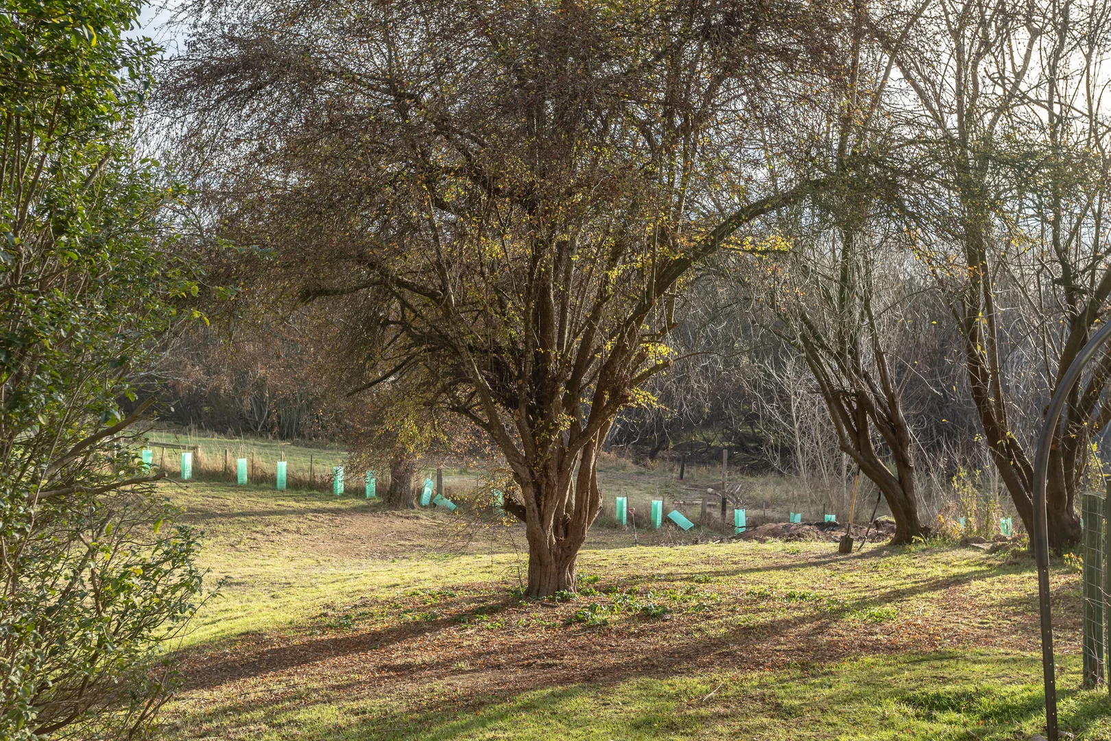 Additional image 23 of 10 Quamby Street, Westbury TAS 7303