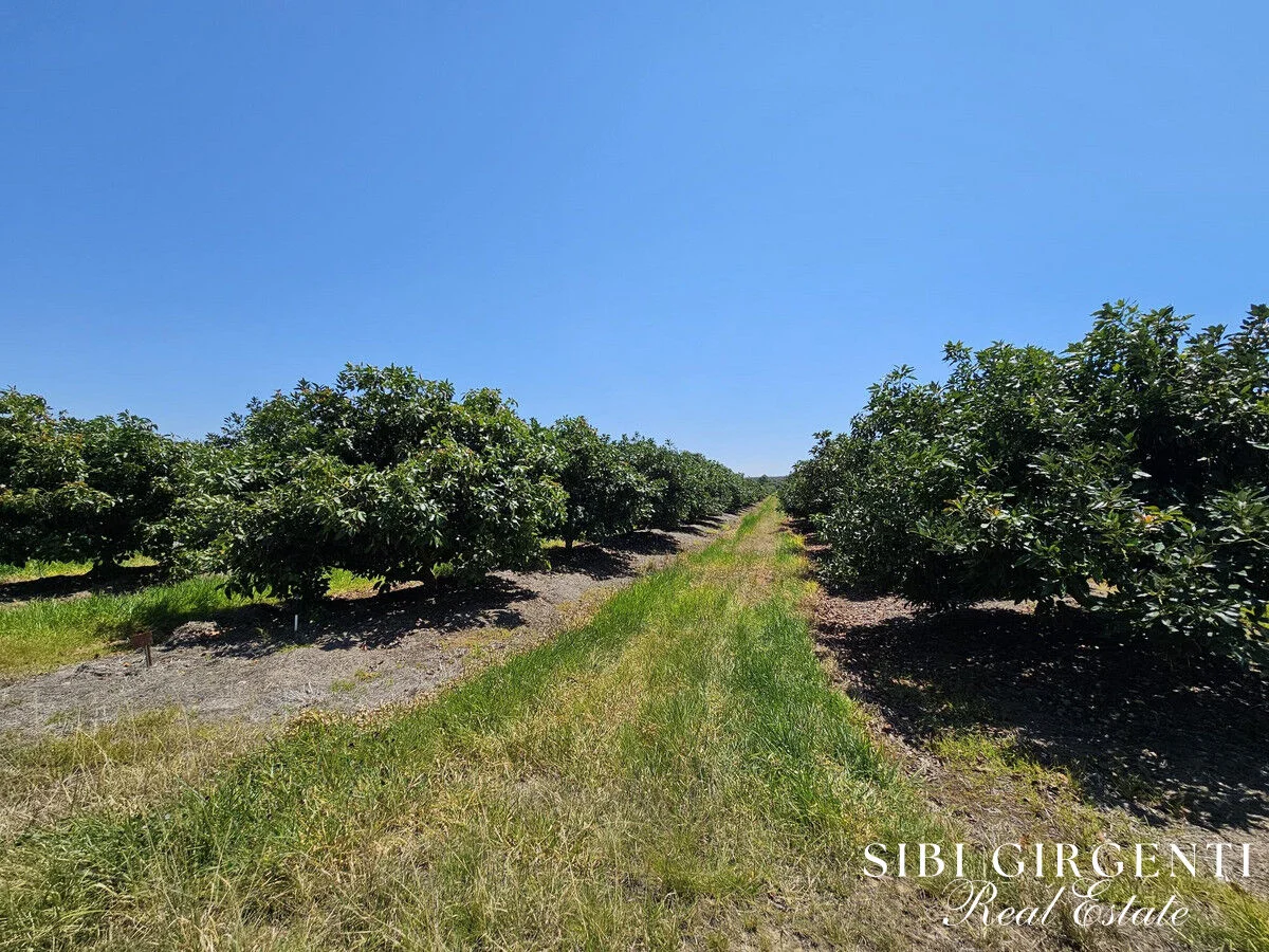 Additional image 39 of 1611 Mareeba-Dimbulah, Arriga QLD 4880