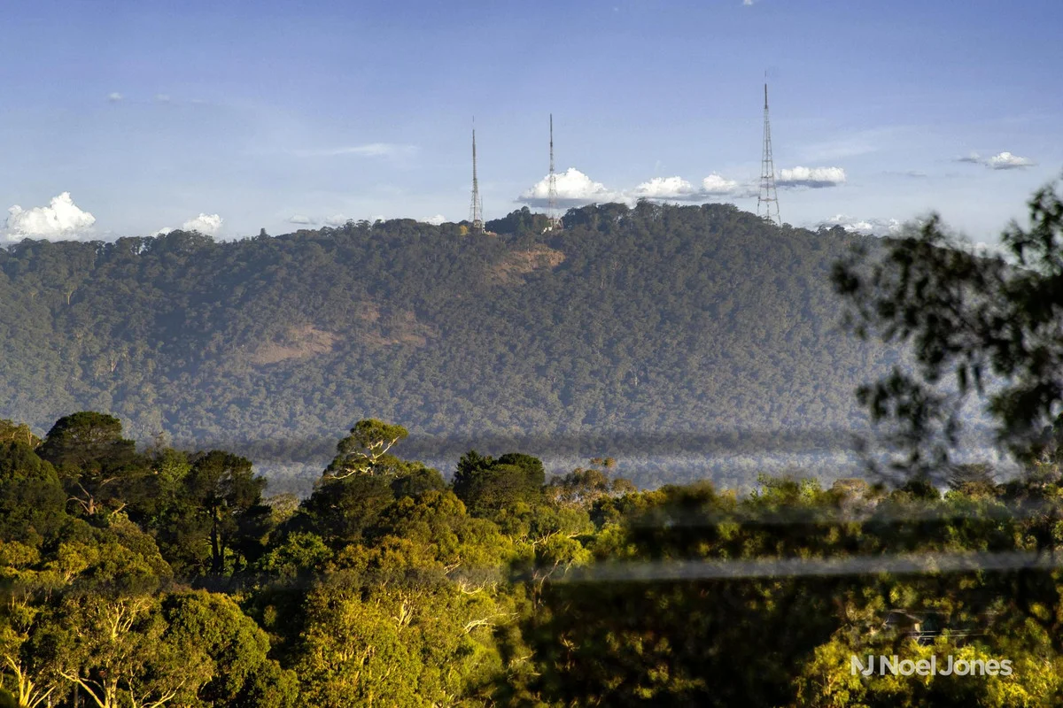 Additional image 24 of 67 Kalinda Road, Ringwood VIC 3134