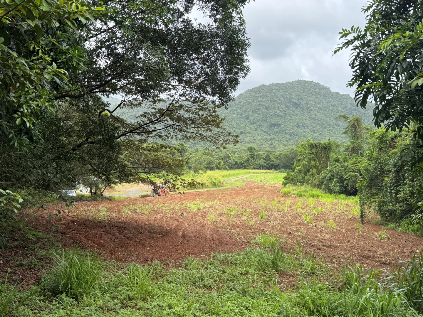 Additional image 22 of Lot 299 Bruce Highway, Friday Pocket QLD 4855