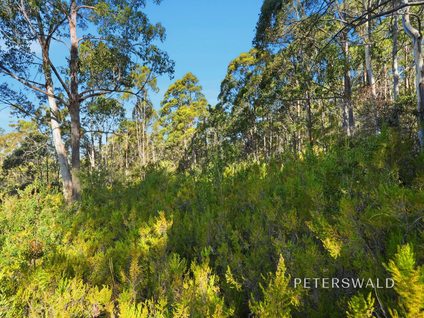 Additional image 3 of 3 Morphetts Road, Neika TAS 7054