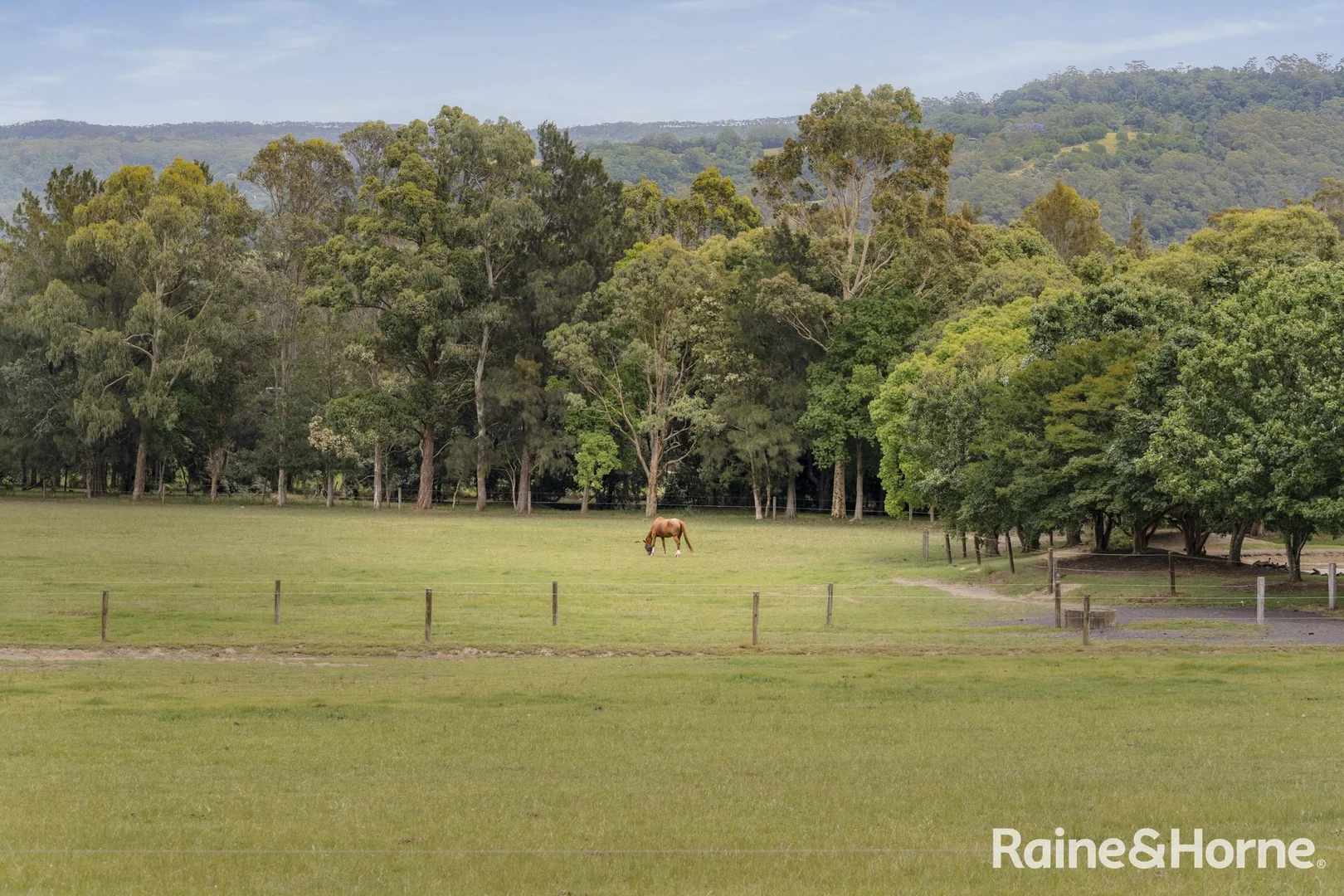 Additional image 12 of 6A Gwenda Avenue, Berry NSW 2535