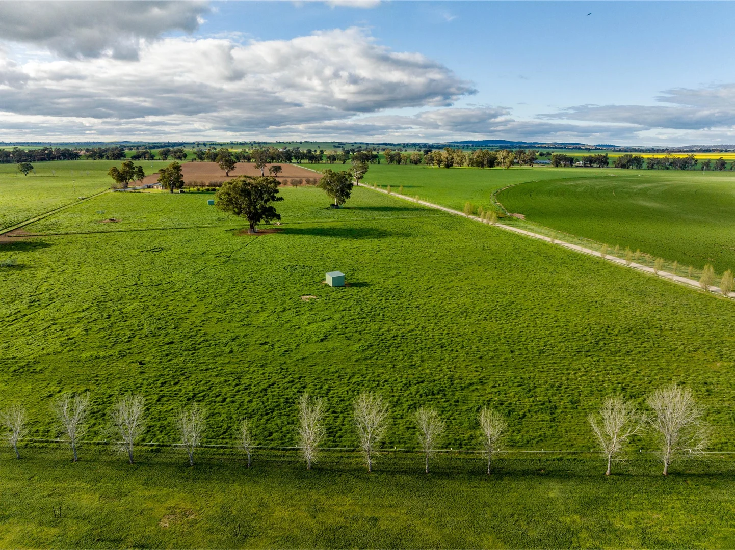 Additional image 6 of 1871 Old Narrandera Road, Euberta NSW 2650