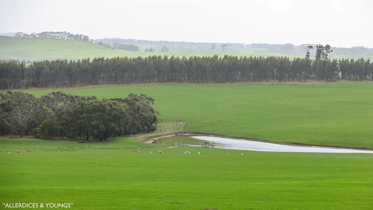 Additional image 34 of 3960 Dartmoor-Hamilton Road, Grassdale VIC 3302