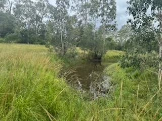 Additional image 27 of 420 Mount Bucca Road, Abbotsford QLD 4670