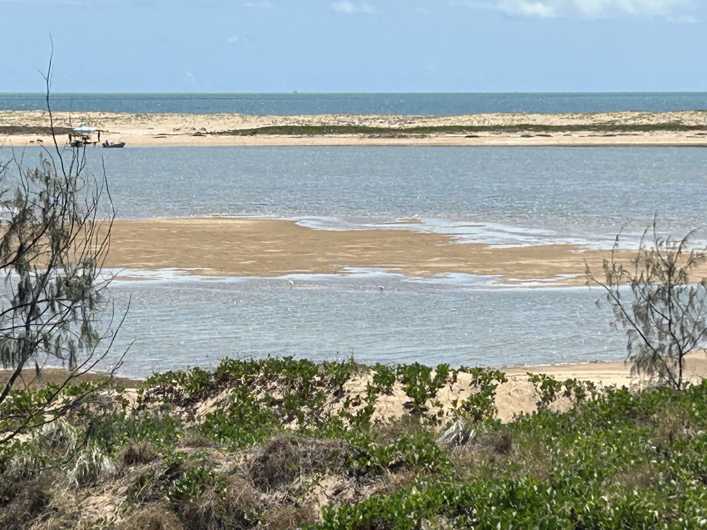 Additional image 48 of 39 Narrah Street, Alva QLD 4807