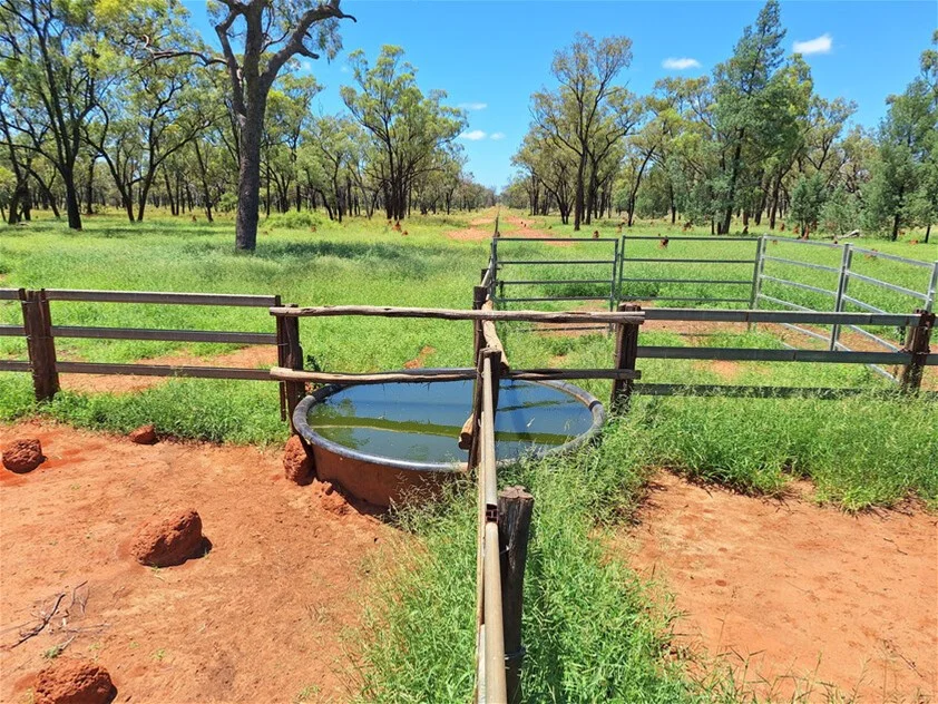 Additional image 5 of 6743 Dunrobin Road, Jericho QLD 4728