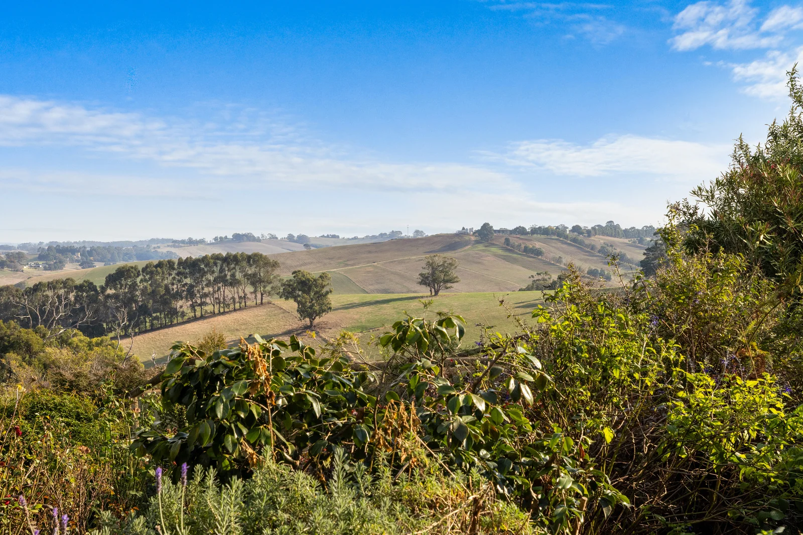 Additional image 18 of 405 Leongatha North Road, Leongatha North VIC 3953