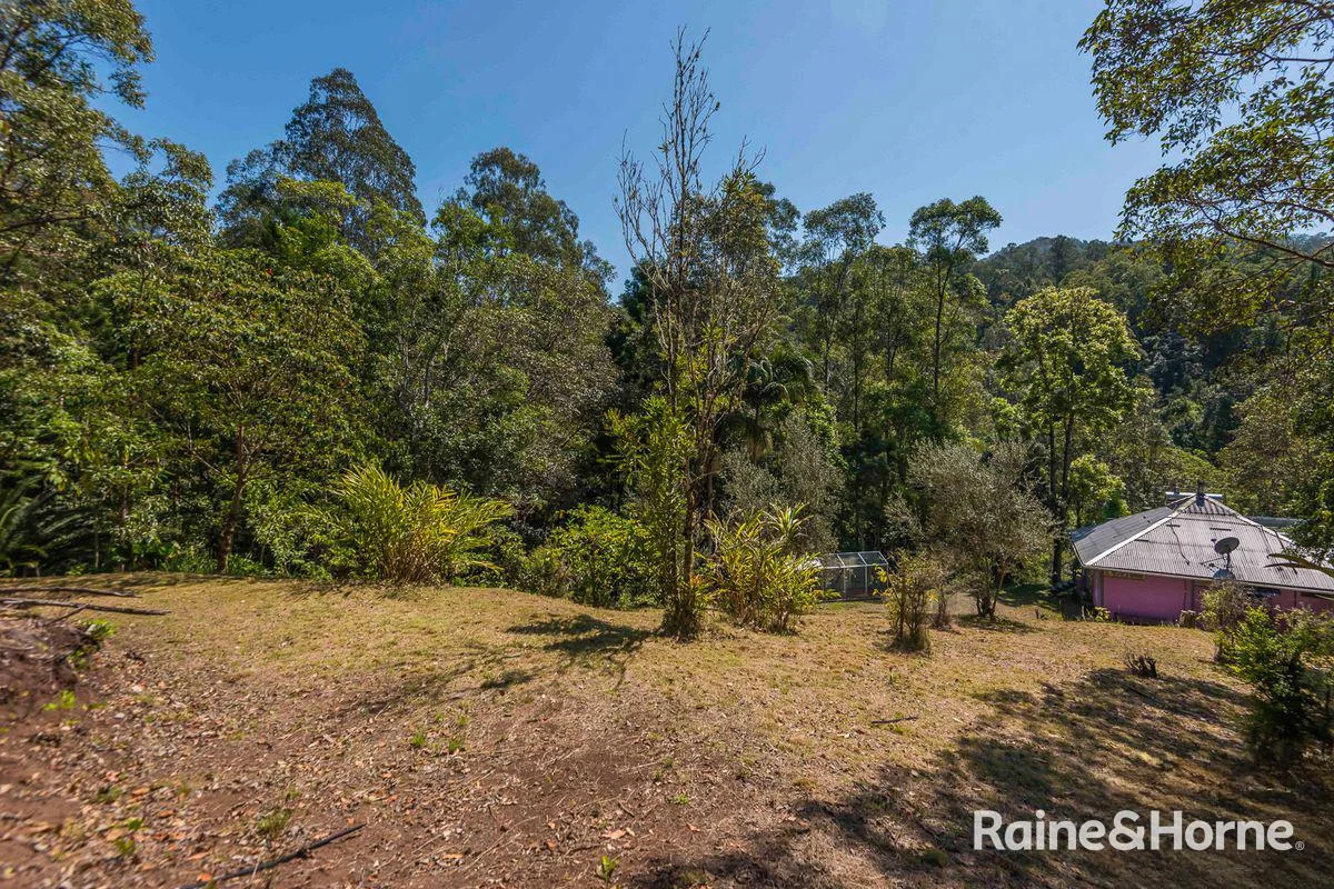 Additional image 17 of 7/321 Blackhorse Road, Eden Creek via, Kyogle NSW 2474