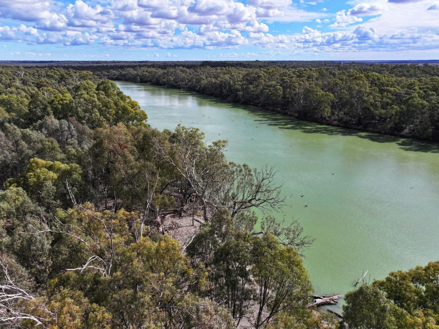 Additional image 3 of Box's Island Via Renmark Road, Wentworth NSW 2648