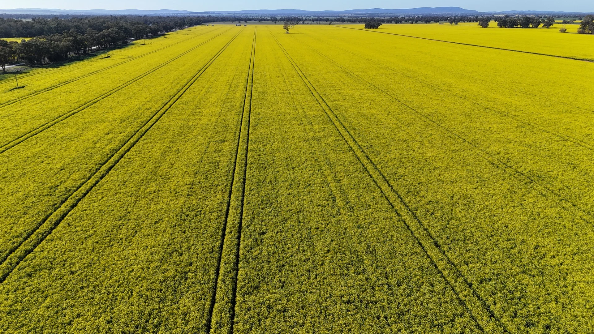 Additional image 11 of 349 Warregal Road, Parkes NSW 2870