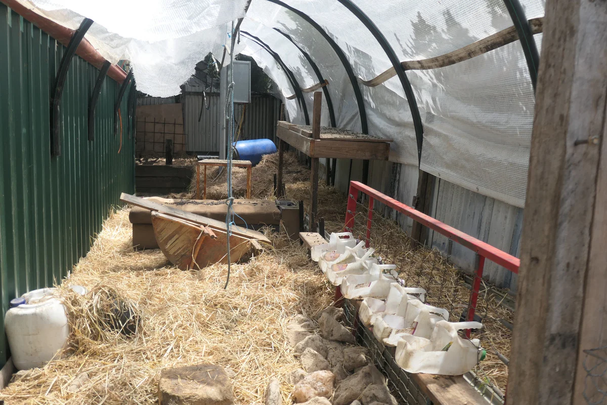 Additional image 19 of 12 Lyons Street, Rappville NSW 2469