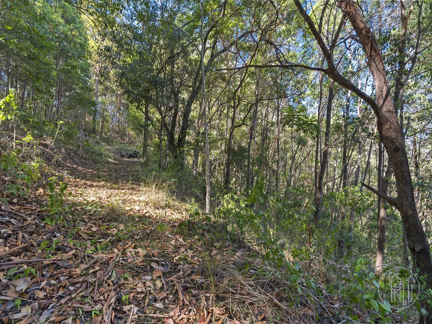Additional image 6 of Lot 2 Ballard Rd, Imbil QLD 4570