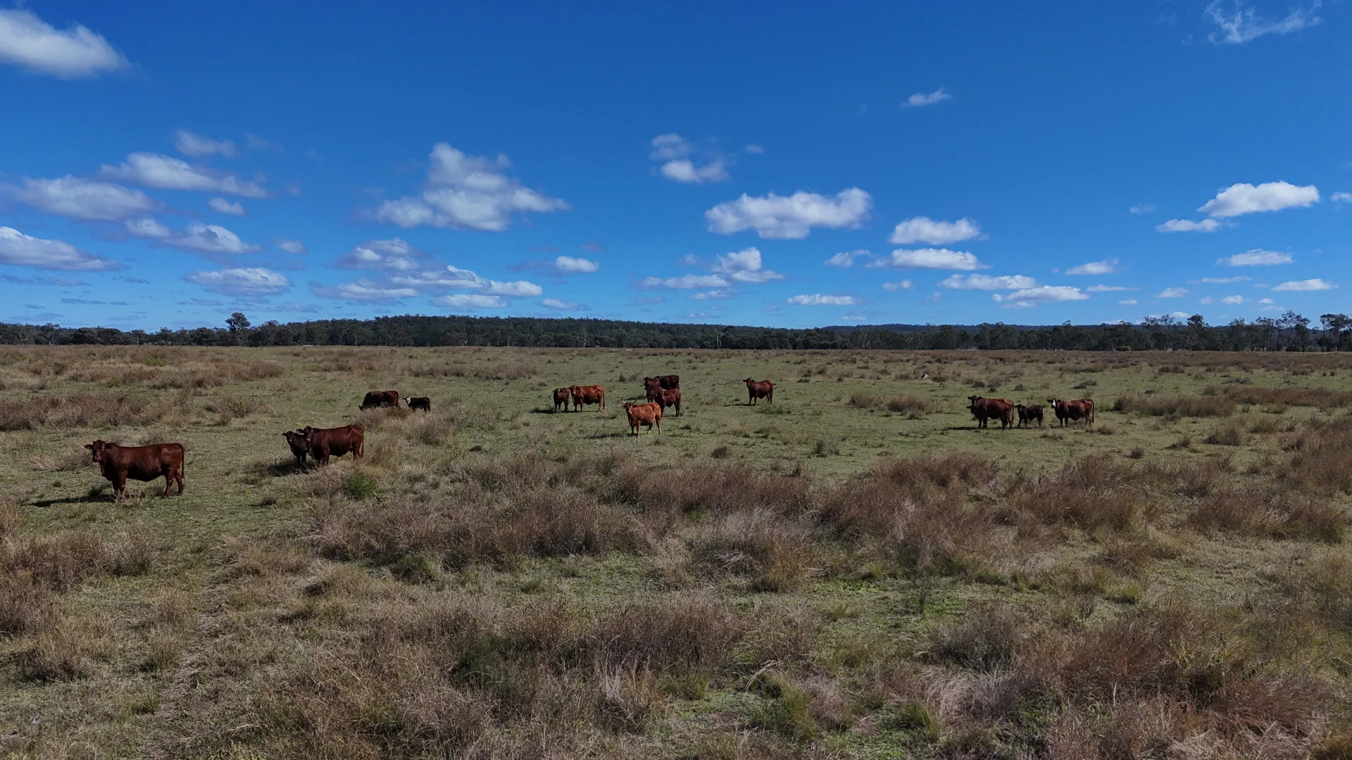 Additional image 20 of 8 Screening Plant Road, Cynthia, Eidsvold QLD 4627