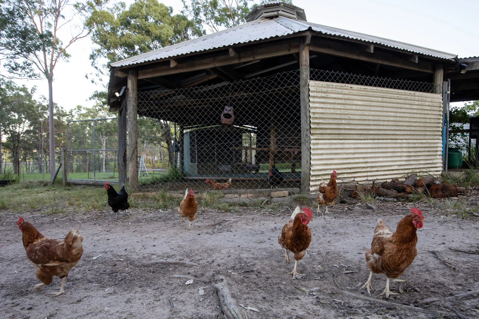 Additional image 35 of 102 Fern Hill Drive, Willow Vale QLD 4209