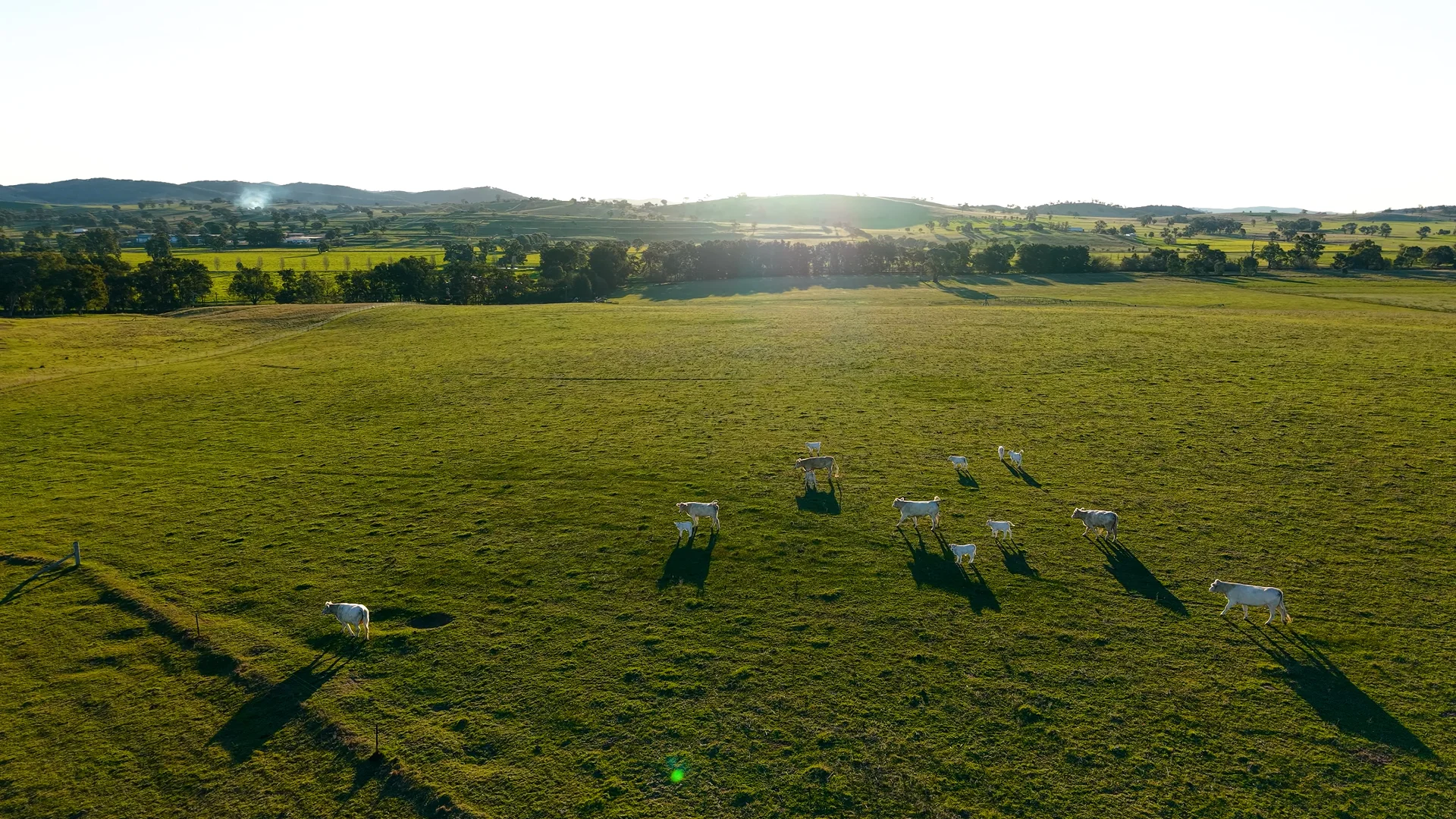 Additional image 4 of 323 Tinja Lane, Mudgee NSW 2850