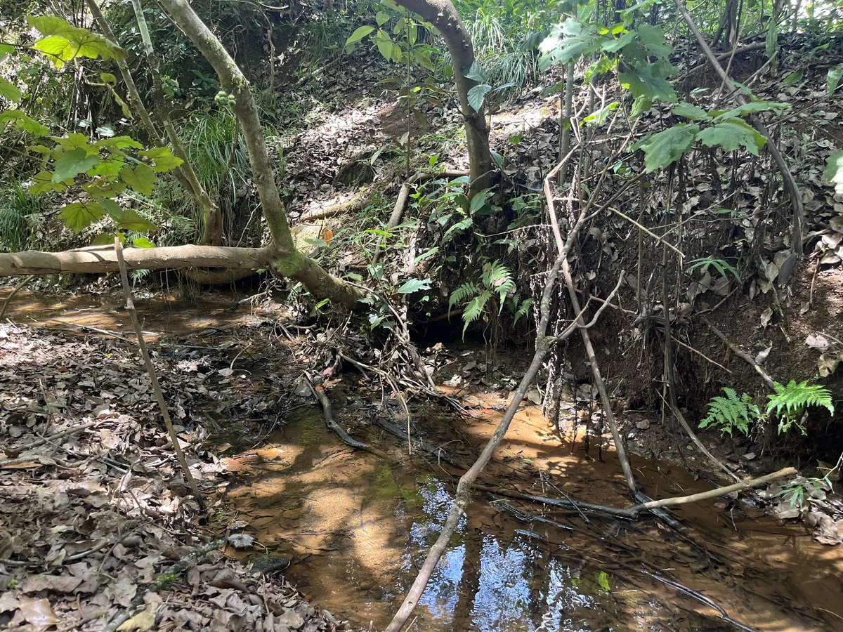 Additional image 14 of Tarzali QLD 4885