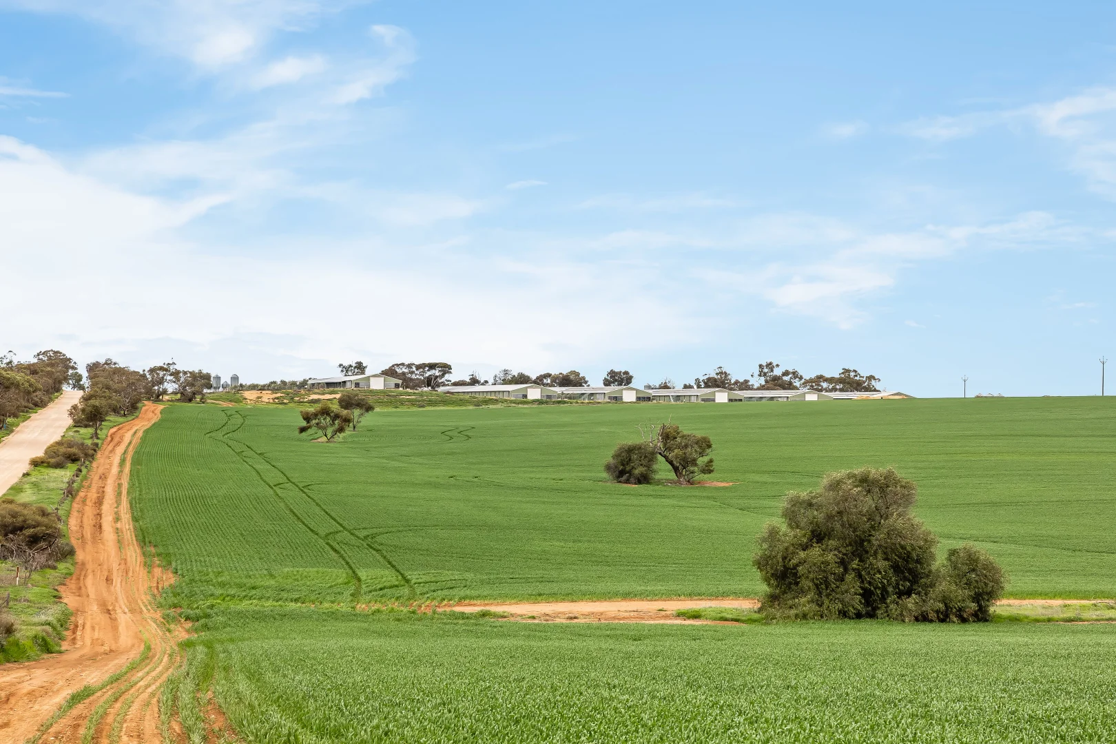 Additional image 25 of 85 Wandel Road, Owen SA 5460