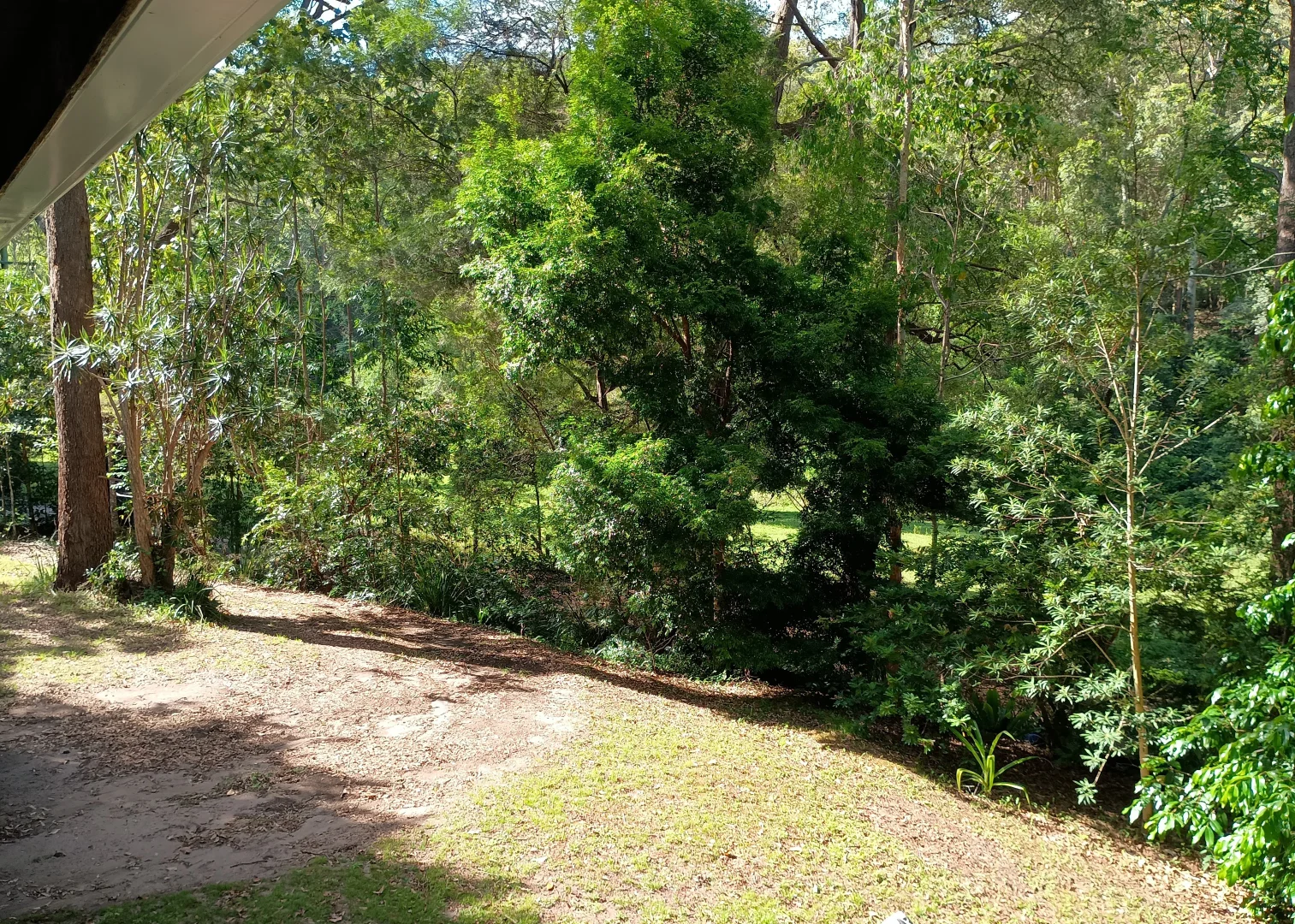 Additional image 20 of Rock Valley NSW 2480