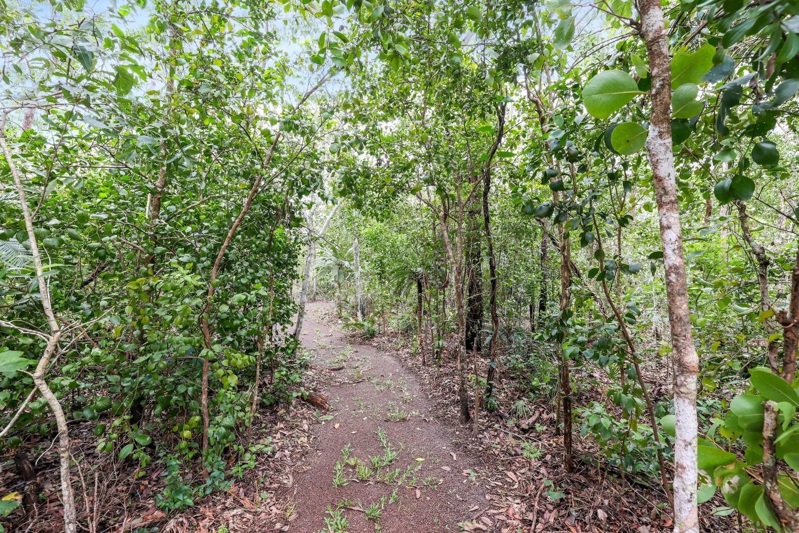 Additional image 33 of 30 Alyxia Court, Virginia NT 0834